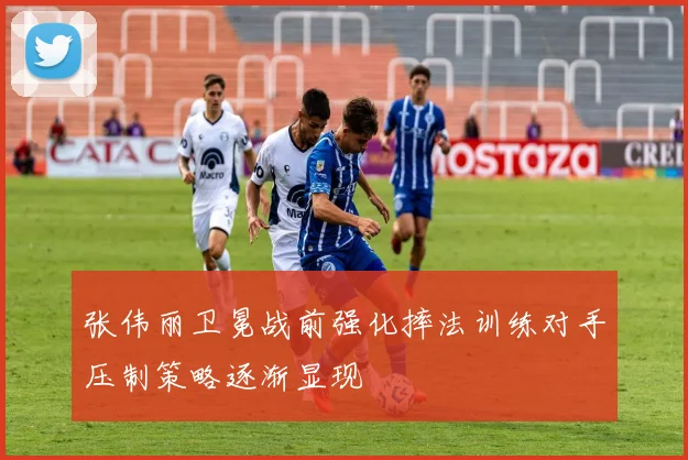 张伟丽卫冕战前强化摔法训练对手压制策略逐渐显现